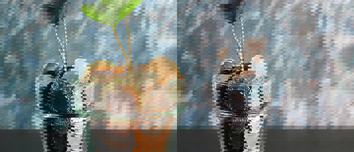 Content Image